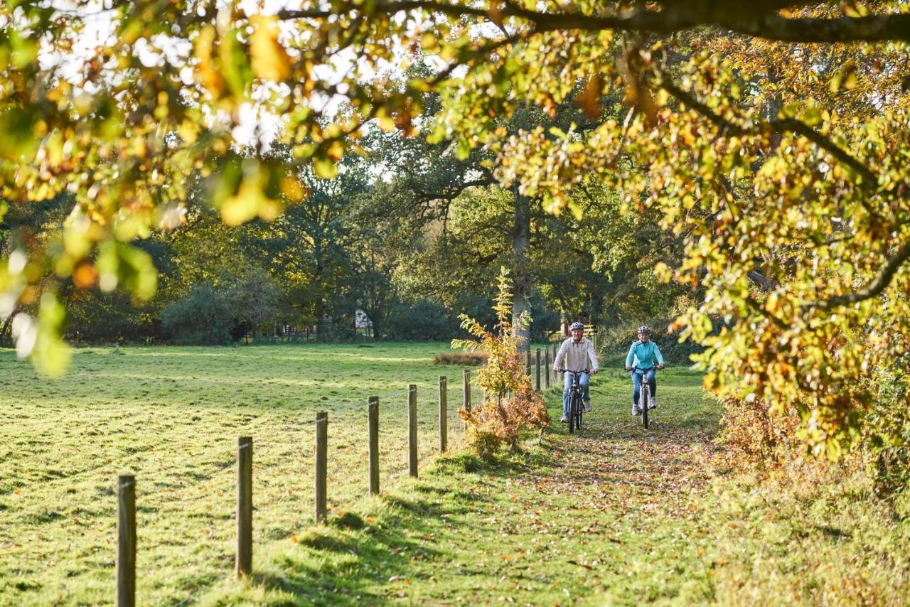 Whitemead Forest Park Hotel Lydney Eksteriør billede